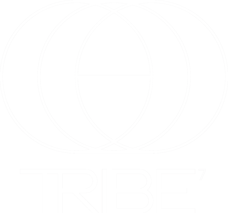 Tribe7 logo – high-end cinematic optics for professional filmmakers